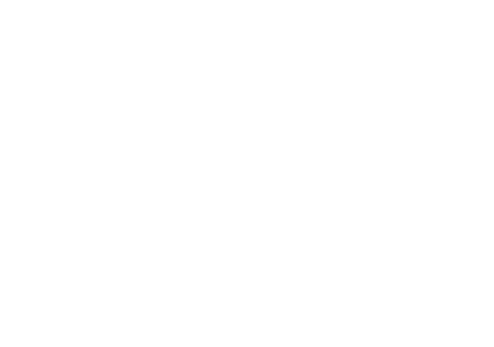 example image